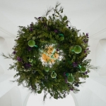 panagia-2026-01-19 12